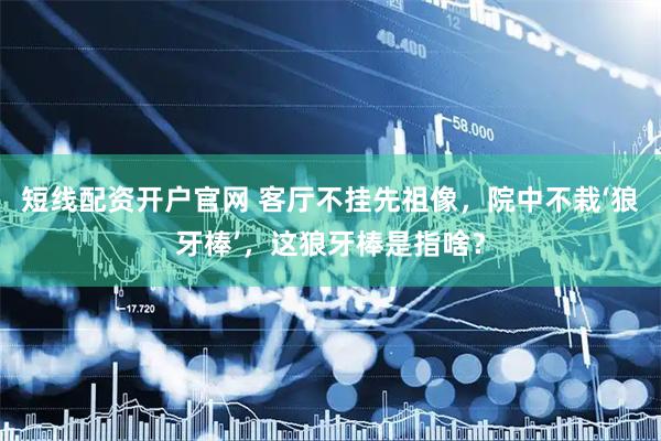 短线配资开户官网 客厅不挂先祖像，院中不栽‘狼牙棒’，这狼牙棒是指啥？